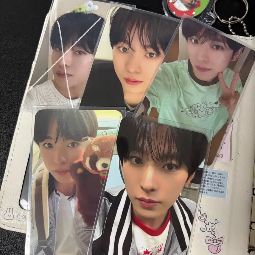 엔시티위시 유우시 포카 에버랜드 입장 포카 에버위시 엠디 에버랜드 위시