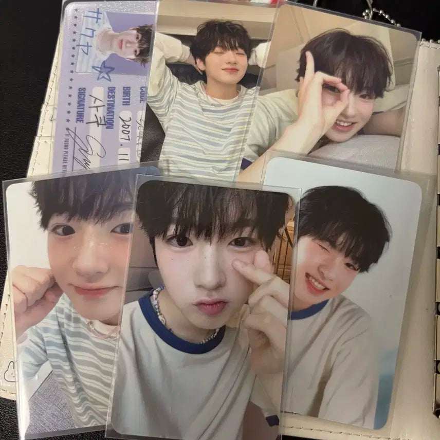 엔시티위시 사쿠야 포카 시즌그리팅 일괄