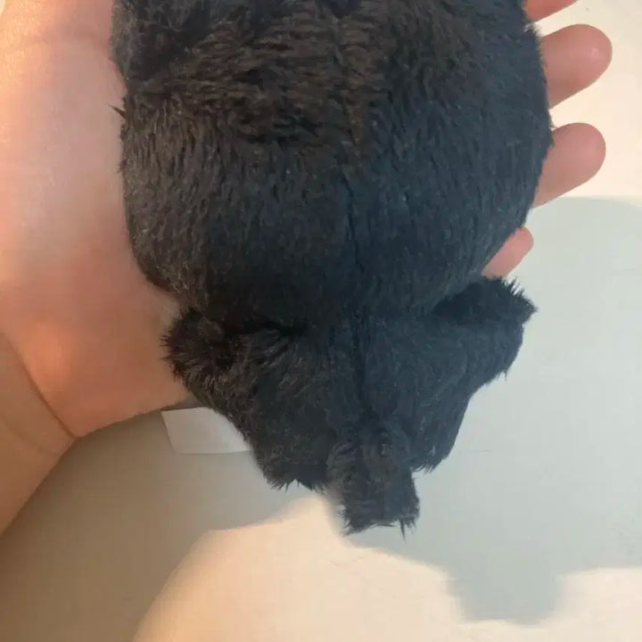 엔시티 마크 인형 애옹냥