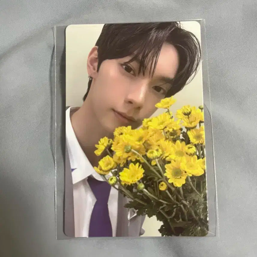 보플 전시회 최립우 포카