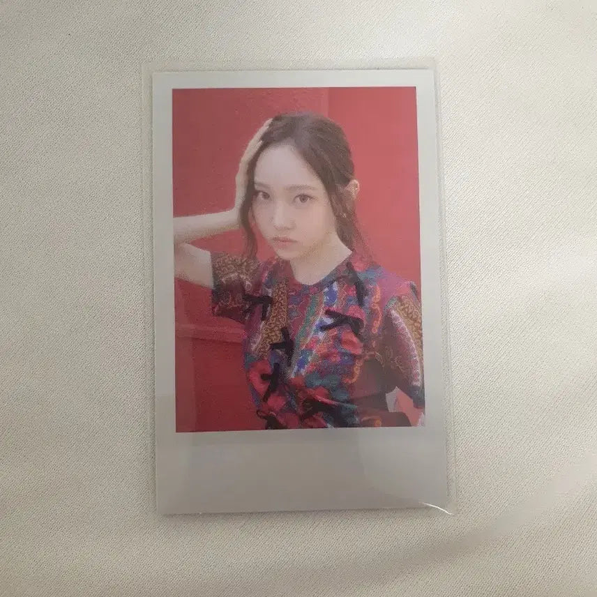 올데이프로젝트 올데프 영서 포카