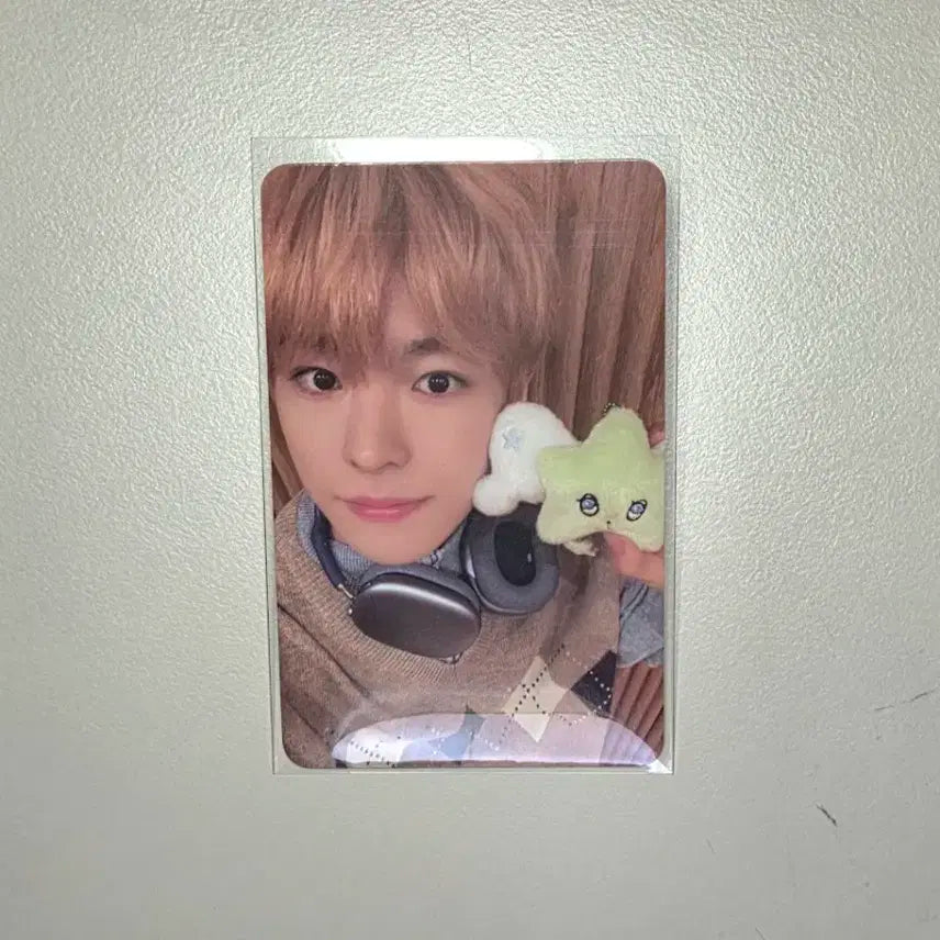 가격 내림!! 엔시티위시 유우시 위츄 포카