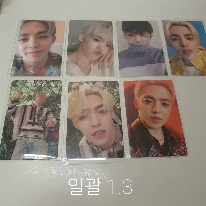 세븐틴 에스쿱스 포카 일괄