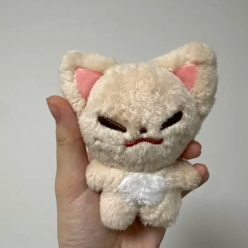 스트레이키즈 아이엔 폭양이