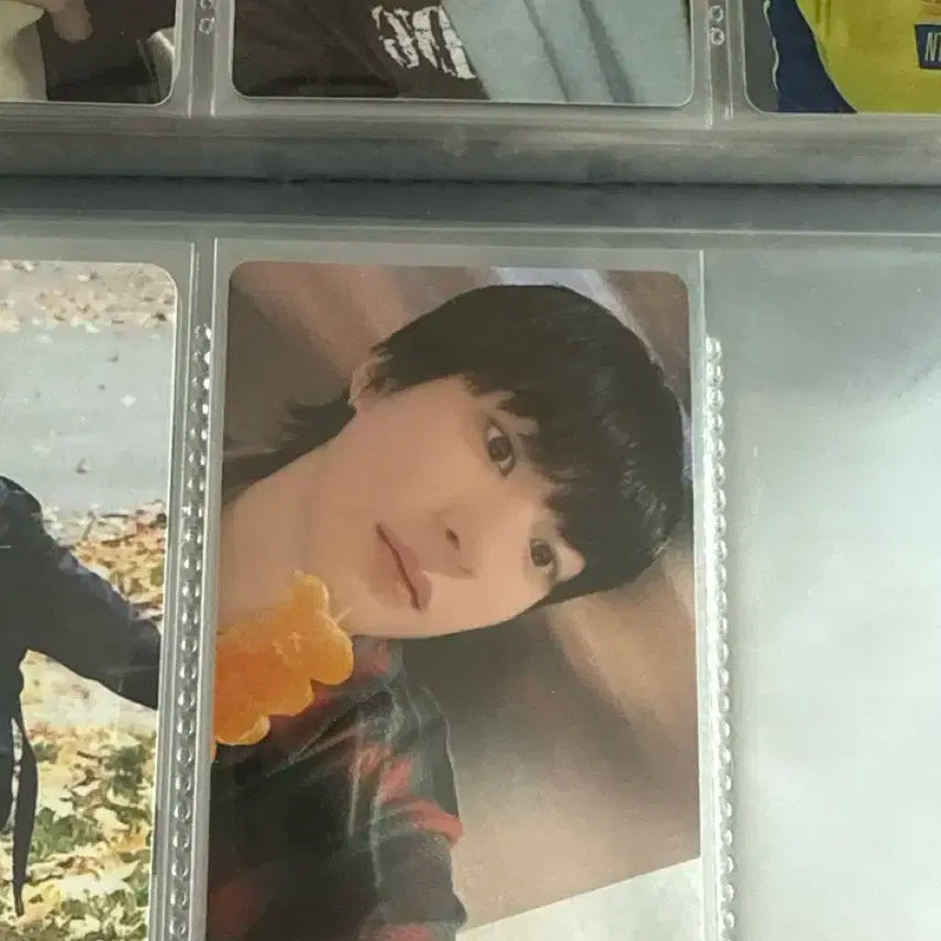 라이즈앤톤탕후루포카미공포앨범