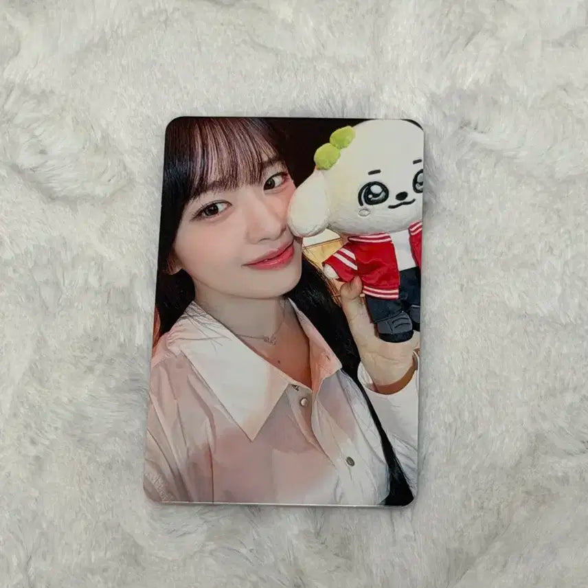 아이브 안유진 월드투어 콘서트 다이브존 미공포 포카 양도