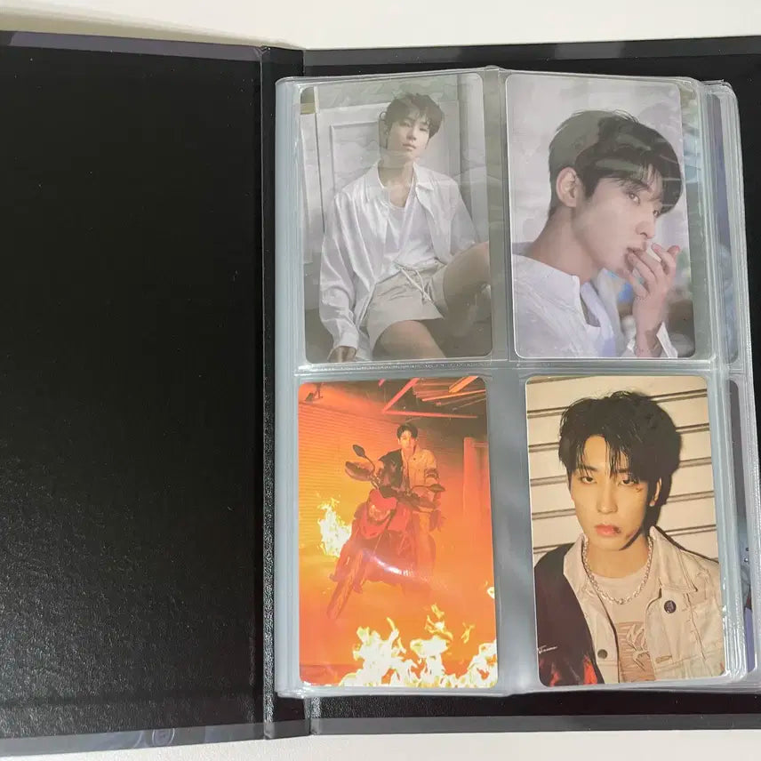 세븐틴 원우 아타카 캐럿반
