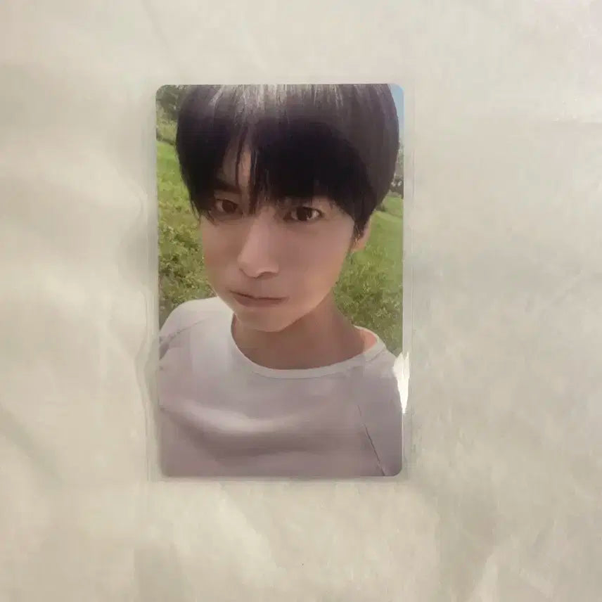 태현 쇼케이스 특전 포카