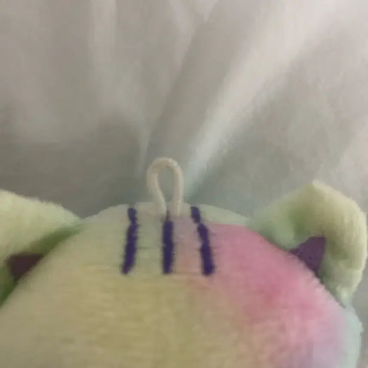 레인보우 다고냥 단순전시 모자포함 판매