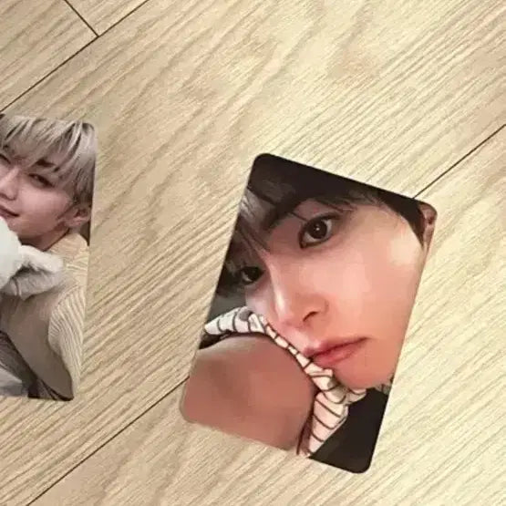 성한빈 네버세이네버 앨포 팝니다