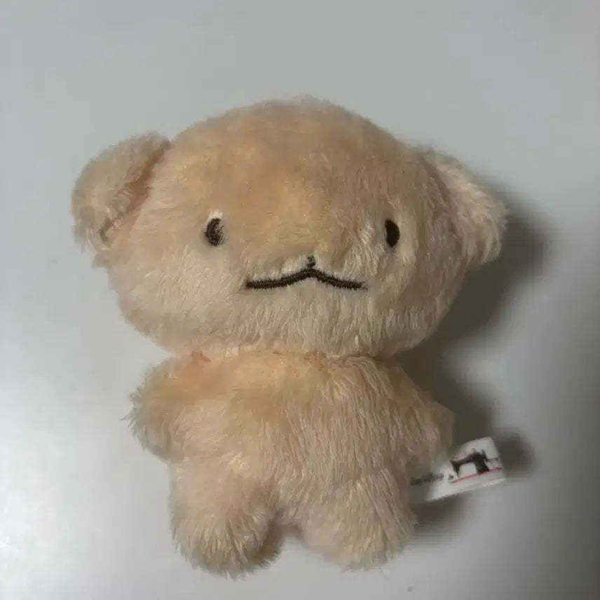 스트레이키즈 스키즈 승민 승땨