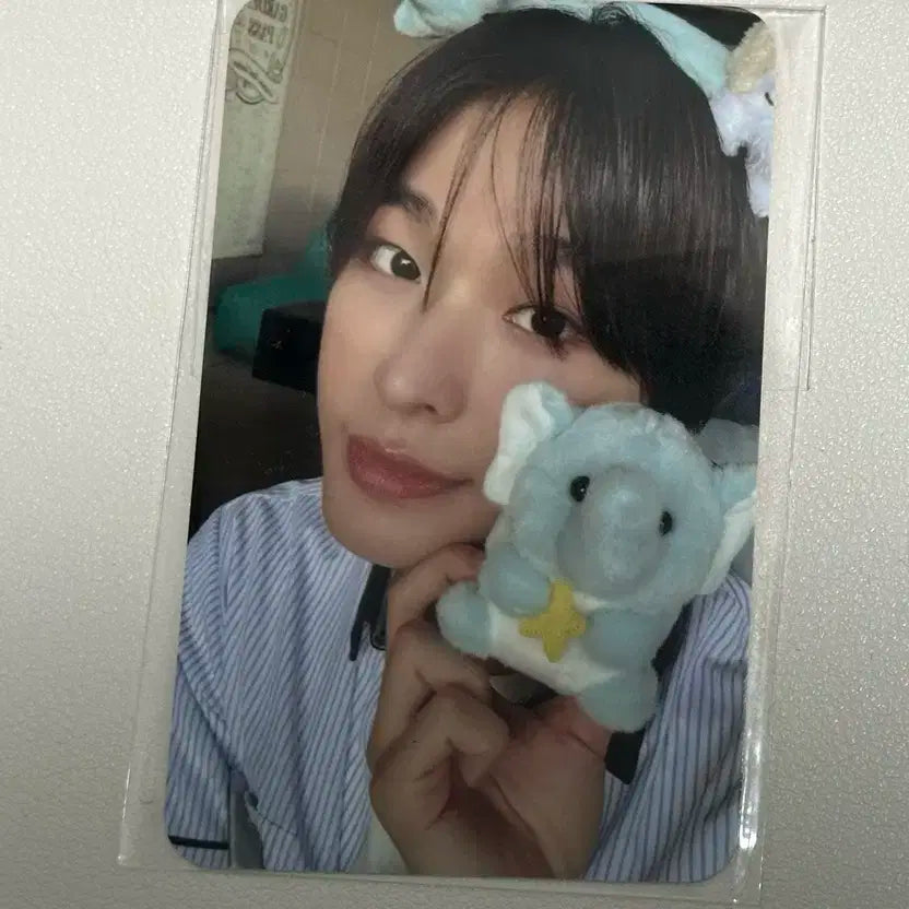 엔시티위시 에버위시 포카 리쿠