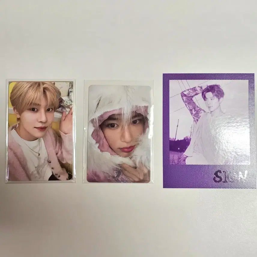 시온 위츄 쿠션 포카+미라클 포카(하자있음)+앨범 폴라