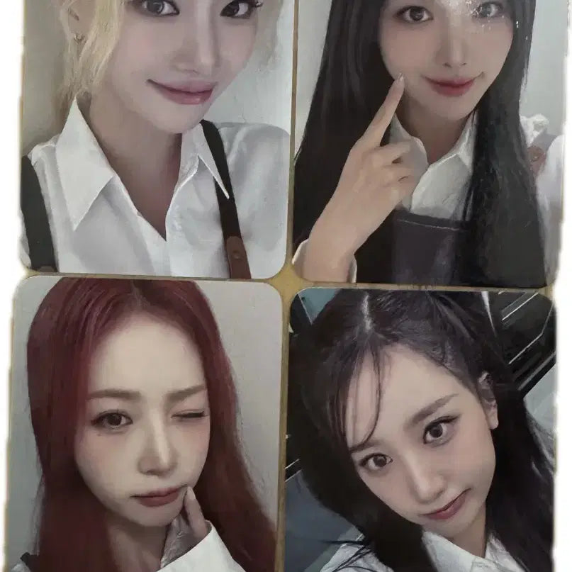 프림로즈 미공포 일괄
