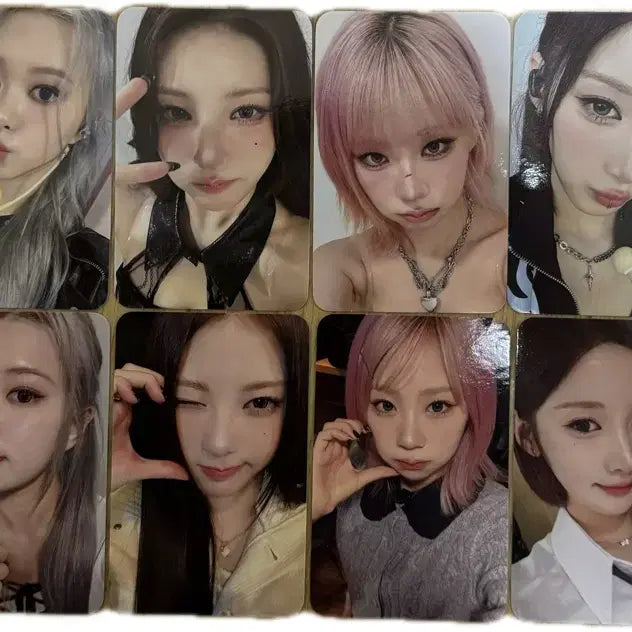 퍼플키스 미공포 일괄