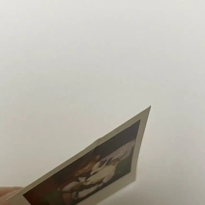 세븐틴 샤다콘 포토카드 세트B