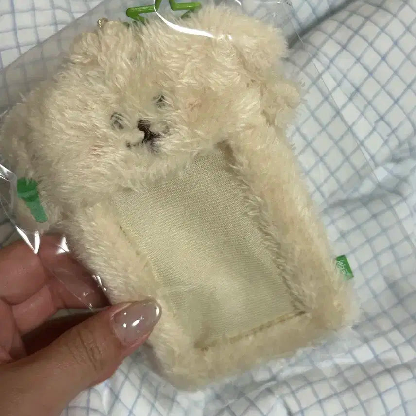 엔시티 위시 댕트리버 포카홀더