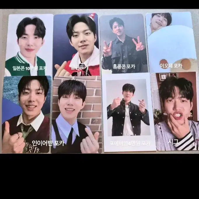 데이식스 도운 포카 일괄