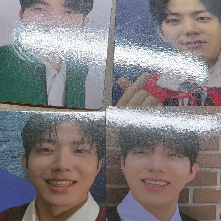 데이식스 도운 포카 일괄