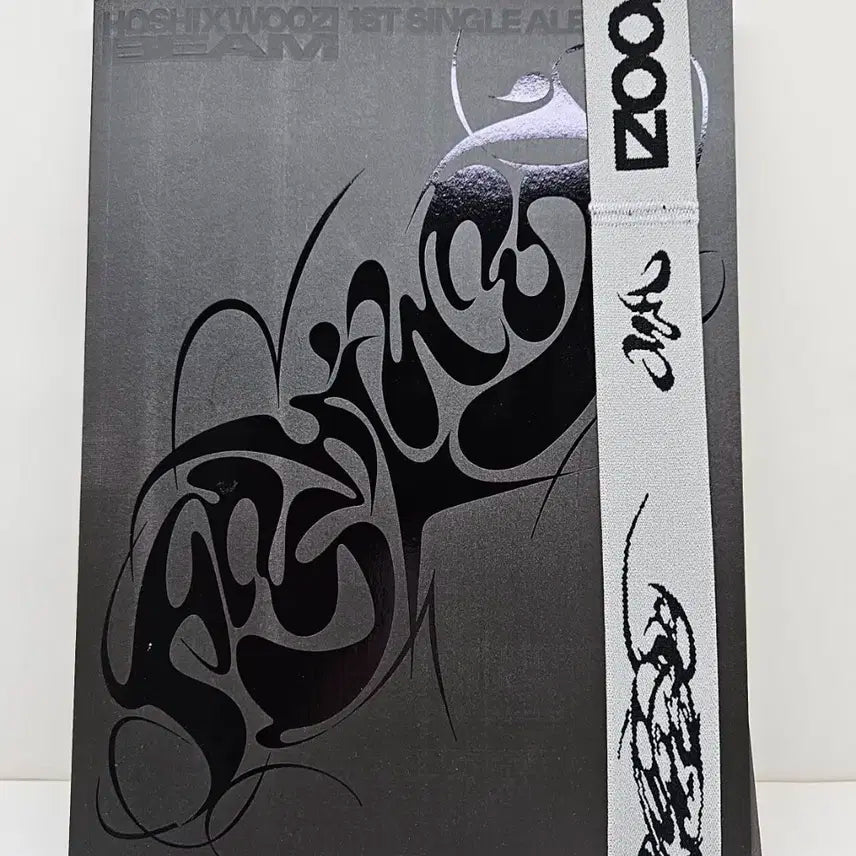 세븐틴 호시 우지 개봉앨범