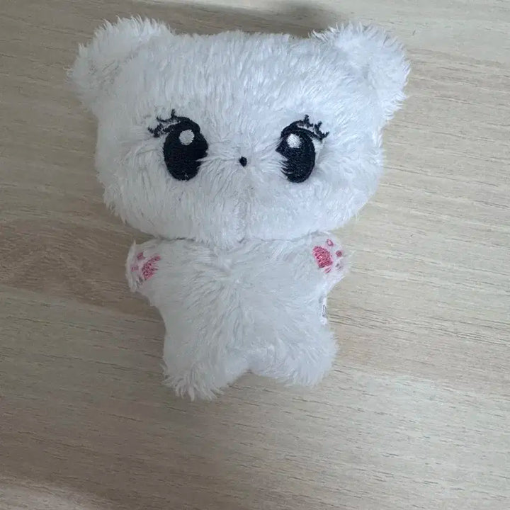 에스파 윈터 쩡티쥬