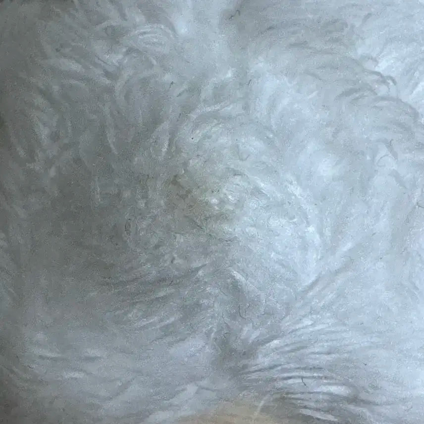 에스파 윈터 쩡티쥬