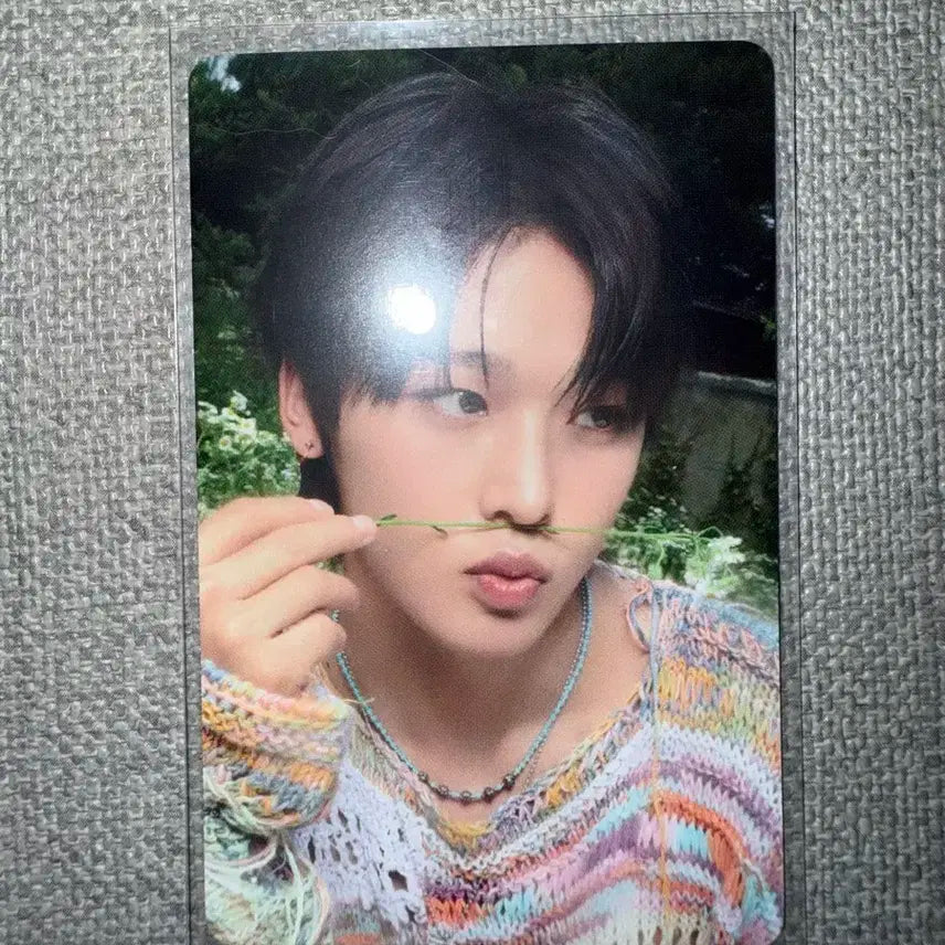 영풍문고 컬러 특전 리쿠