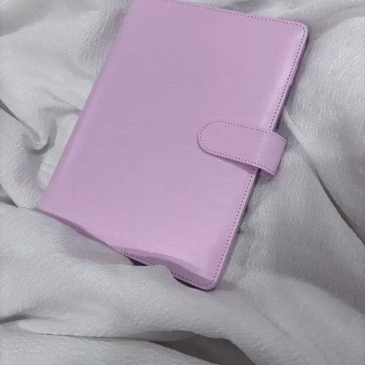 (라이즈 공굿 드림)핑크 바인더