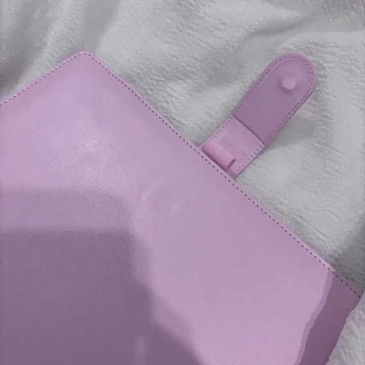 (라이즈 공굿 드림)핑크 바인더