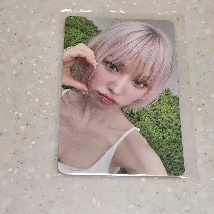 웬디 공방포카
