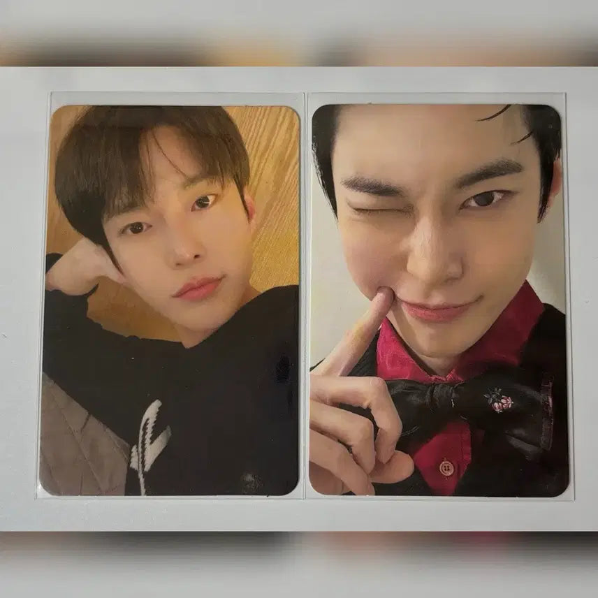 엔시티127 도영 포카 일괄 양도