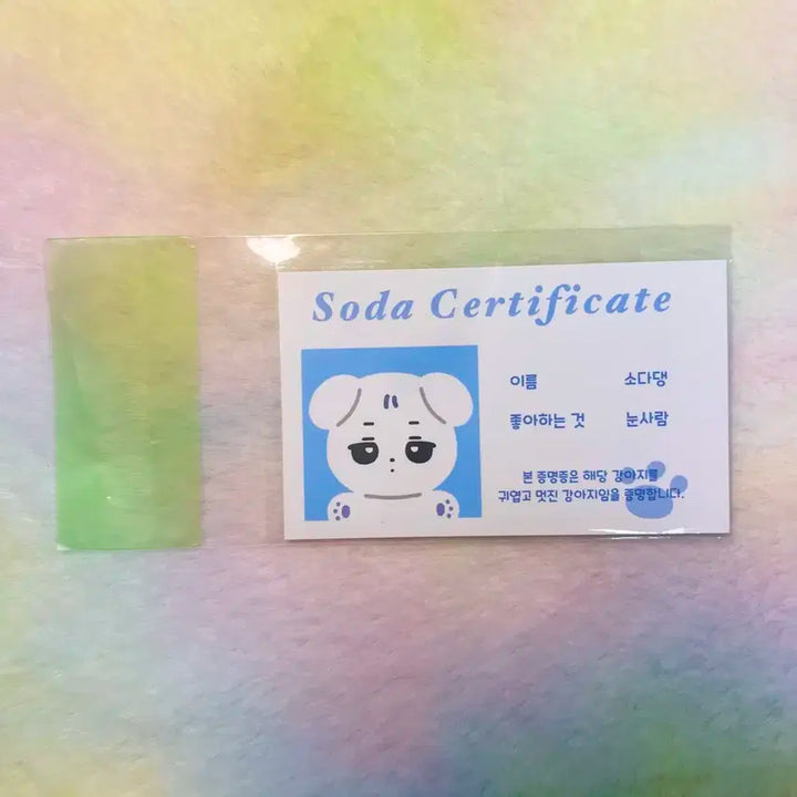 소다댕 에스파 윈터 10cm 인형