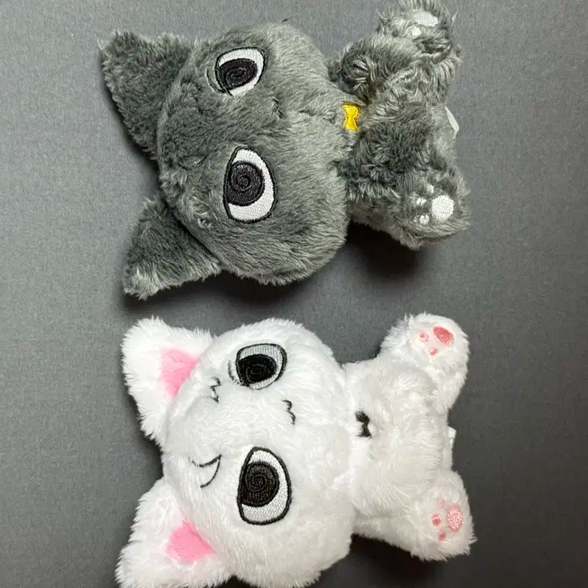 보넥도 성호 인형 삐넥도 성게냥 흰게냥 일괄