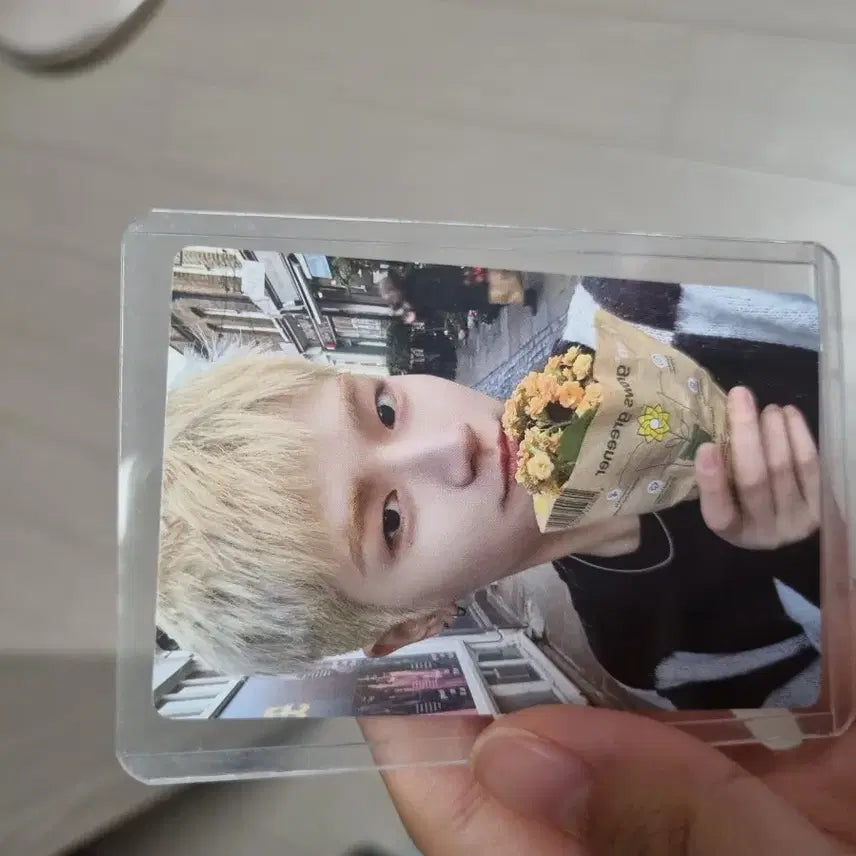 보넥도 리우포카