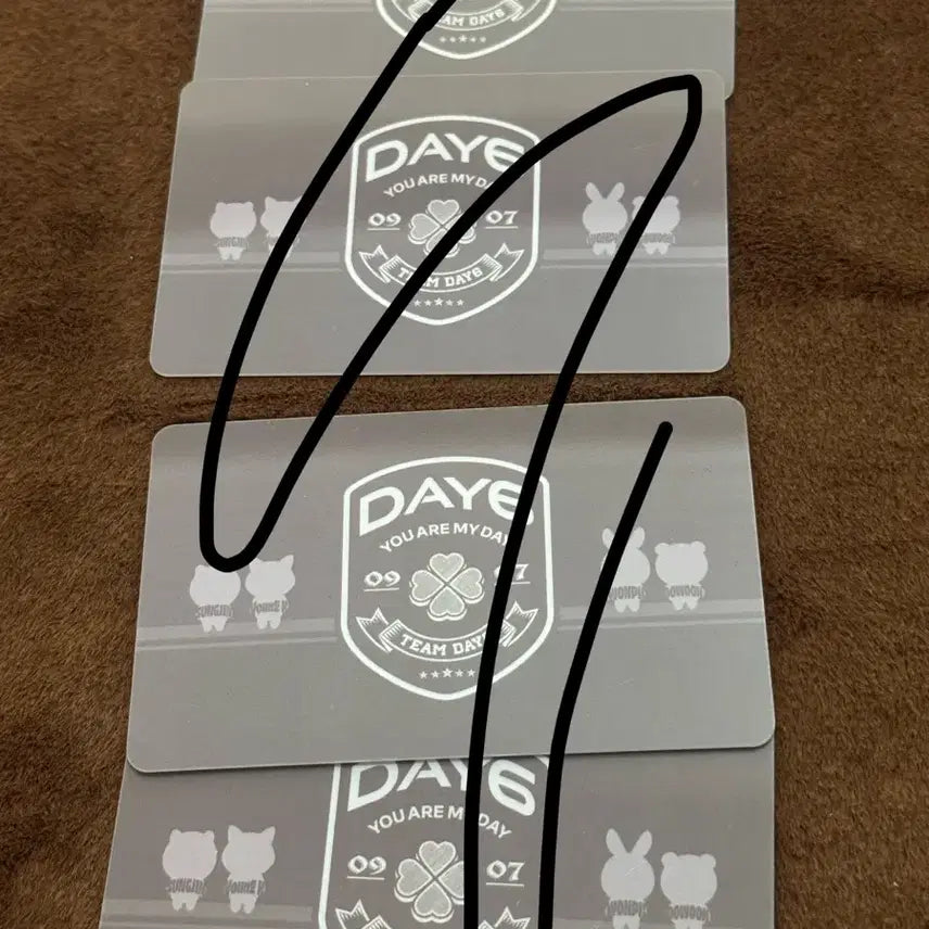 일괄 데이식스 미션9 팝업 에이전트 카드 포카