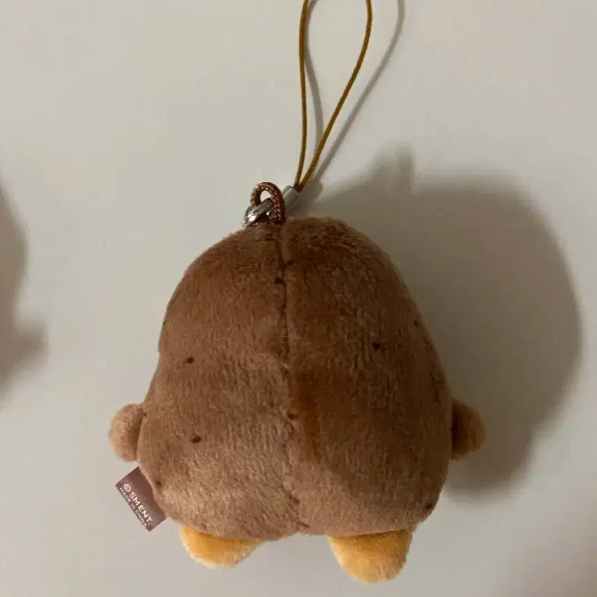 송용돌이 summer ver