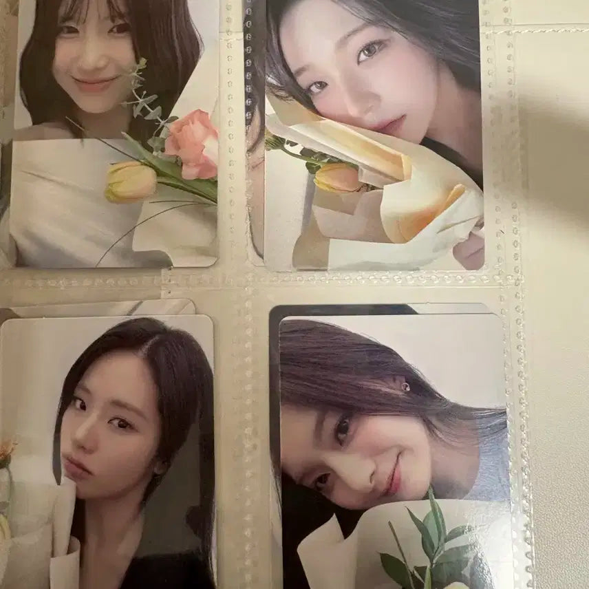 프로미스나인 플로버 가든 포카 일괄 판매합니다