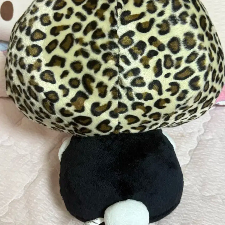 엔시티위시 사쿠야 레오파드 헬로키티 판다키티 갸루