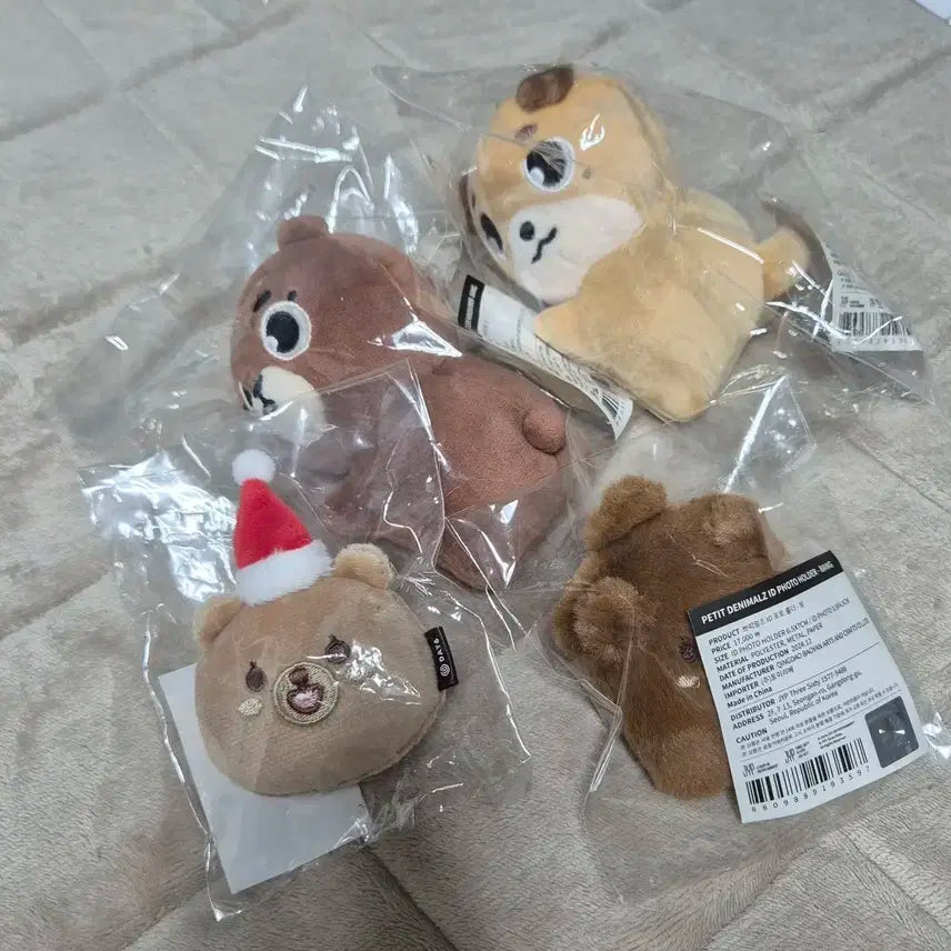 데이식스 클콘 엠디 일괄