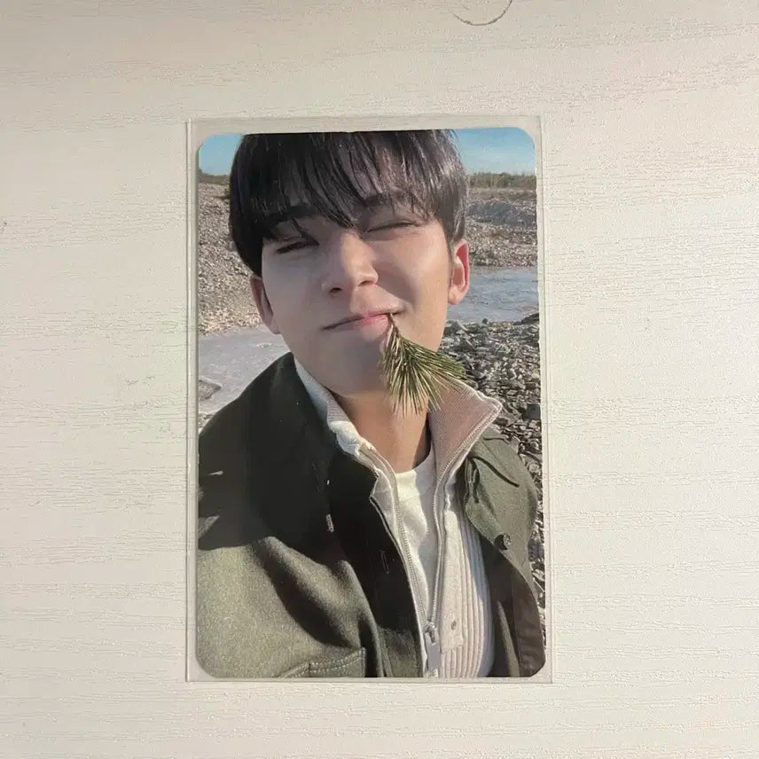 세븐틴 face the sun 민규 사웨 럭드 포카 판매