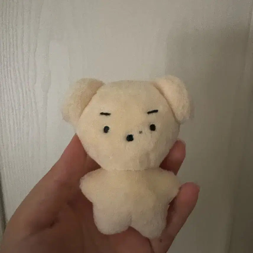 데이식스 도운 인형 윤돗개