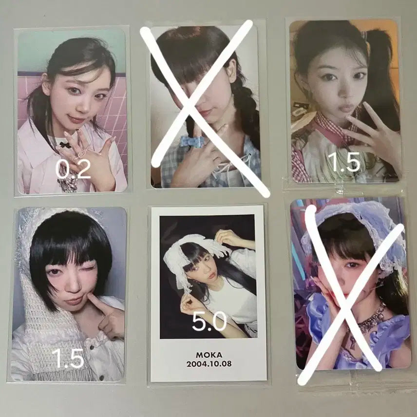 아일릿 모카 포카