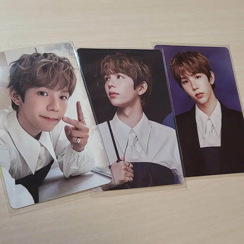 라이즈 쇼타로 시즌그리팅 포토카드 일괄양도