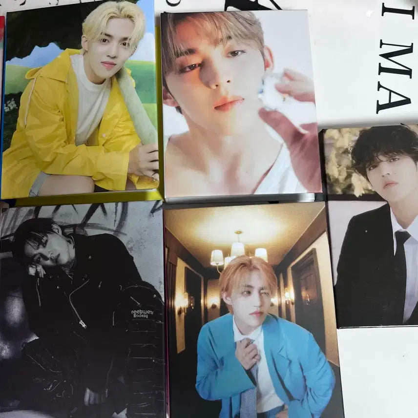 세븐틴 에스쿱스 캐럿반 일괄 (+덤)