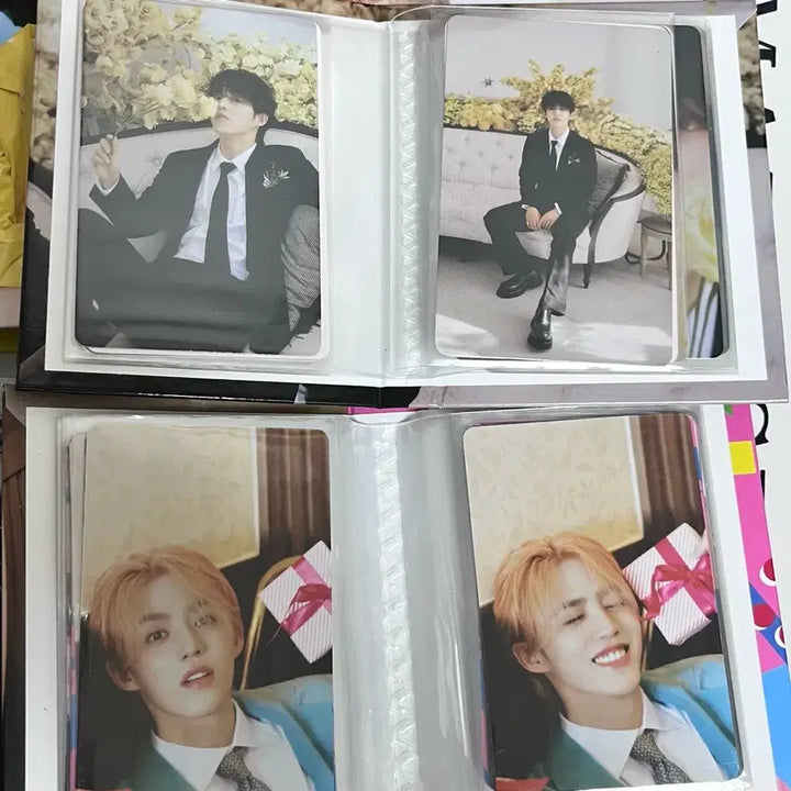 세븐틴 에스쿱스 캐럿반 일괄 (+덤)