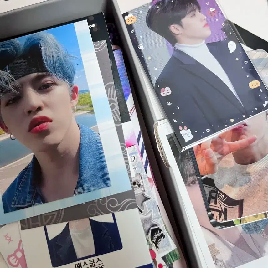 세븐틴 에스쿱스 캐럿반 일괄 (+덤)