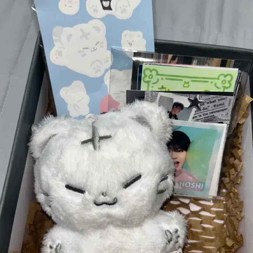 특전포함 호찌 판매 ( 세븐틴 호시 인형 세트 )