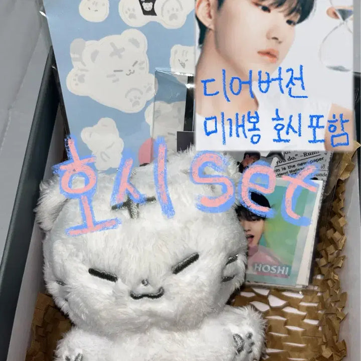 세븐틴 호시 세트 ( 호찌(특전포함), 호시 디어버전 캐럿반)