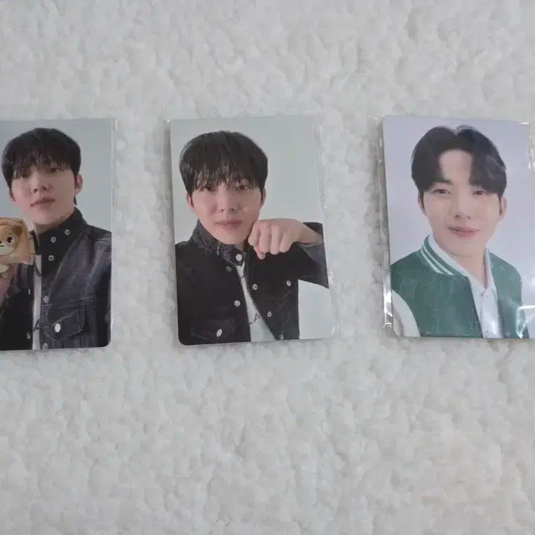 데이식스 도운 포카 일괄 판매