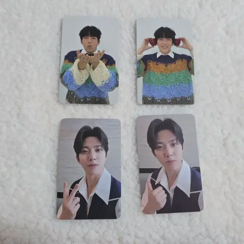 데이식스 도운 포카 일괄 판매